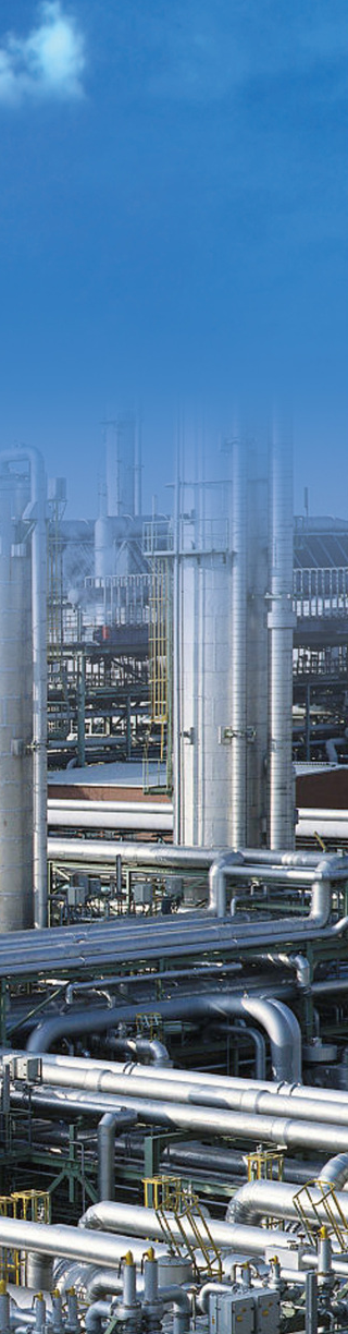 江苏蓝丰生物化工股份有限公司